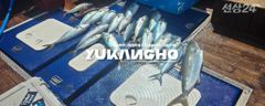 [부산 유강피싱] 유강호 부산권 부시리 파핑 지깅 퍽퍽합니다~ 사진