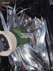 내만갈치)내만에서 이런게~요번주 쭉 달리뿝니다~예약가능 사진