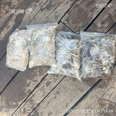 맛베기로...