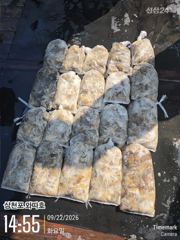 화요일 왕쭈꾸미로 좋은 조황입니다