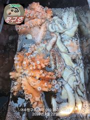 여수 짱구호 9월22일(화) 문어 초대박 조황