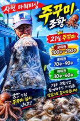 주간:주꾸미 & 야간:돌문어 ~내일 출조확정~예약받습니다