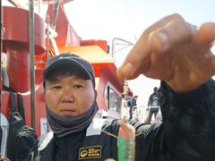 ▶▶ 9/22.(군산. 카니발호) 주꾸미~조항! 내일. 출항해요. 사진
