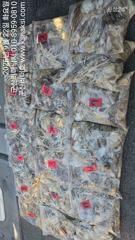 ⭐군산리더호 대형지퍼백 꽉꽉 눌러담았어요24오후반운영⭐ 사진