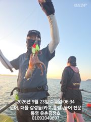 [통영] 통영 금정호 아침부터 문어들 반응 좋습니다 내일오후 자리있습니다 사진