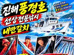 [진해] <<내만갈치>>3자리 마릿수 씨알굿 최신굳조황