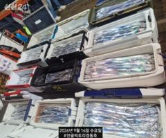 경동호 먼바다왕갈치외줄16석 ~목금토일 예약가능
