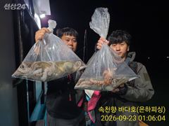 [진해] 문어 내만 돌문어 조황 강풍속에도 키로급행진 쭈욱 목요일 주야 … 사진