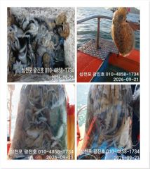 광진호,왕쭈,장원200수{평일,할인}27일,자리여유 예약중