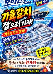 통영칼치 나온다 3지 4지 사진
