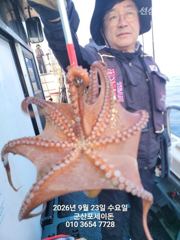 23일,군산 문어~싸이즈 좋은 문어 오늘도 굿굿~연이은 대박행진~군산낚시프라자 포세이돈호 사진