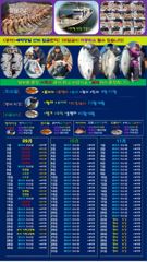 ♥붉바리들 이정도는 잡아봐야지요 대박 붉바리조황입니다 [2026년09월23일] ◎ 해마루호가 뜨는이유? 조황때문이죠 ◎ 핵심포인트: 바로진입.. 바로히트.. ◎ 차원이 다른 조황으로 모십니다 ▣ 요즘 붉바리낚시가 대세입니다