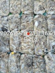 23일, 군산쭈꾸미,갑오징어도 함게~오늘도 굿조황~~군산낚시프라자 나드리호 사진