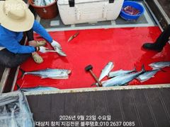 23/수, 오후타임도 대삼치 고시 캐스팅 파티!