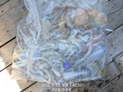 [진해] 돌문어 퍽퍽합니데이 추석 연휴 예약 가능합니다 사진