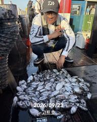 9월23일 고트호 조황(100갑오바) 사진