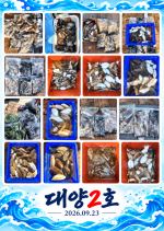 오이도 대양2호 조황사진(26.09.23) 사진