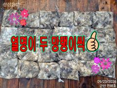 ■망탱망탱 난리난리■9/23 쭈꾸미 조황■군산 인해호■