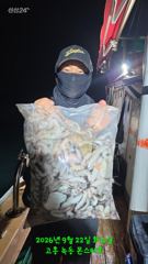 9월23일 팀보스선단 야간문어 조황 사진