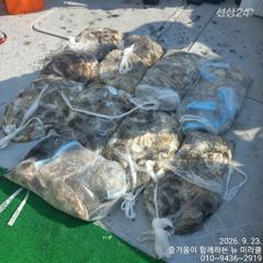 23일 뉴미라클호 9분 망탱이 조황