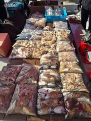 쭈꾸미+갑오징어낚시 조황 2쭈꾸미+갑오징어낚시 조황 2026년09월23(수)왜목해양호 사진