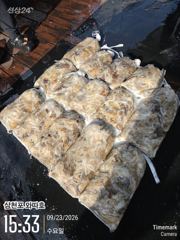 수요일 왕쭈꾸미 오늘도 좋습니다