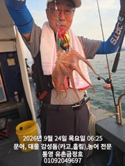 통영 금정호 오전문어 좋은싸이즈로 시작합니다 오늘오후 토.일 자리여유있습니딘 사진