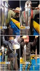 [진해] 준내만갈치)텐빈~만쿨~오늘도 가고 내일도 쭉~(금요일.일요일 예…