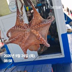 [사천] 9월 25일 주꾸미낚시 6자리여유 예약중 사진