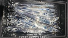 준내만 4지급 텐빈 은빛 갈치 대박 쿨러 가득 조황!! 내일자리여유많음 사진