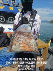 [통영] 통영 금정호 오전문어 그냥 잘나옵니다 금토일 자리여유 있습니다 사진
