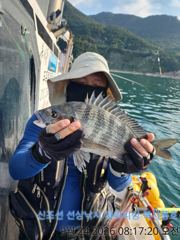 10분전 [부산] 부산 달인호 9월24일 감성돔 조황 사진