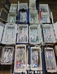 [진해] (풍산)내만갈치 3지급 느나느나, 엄청잡고, 만쿨~(예약가능합니… 사진