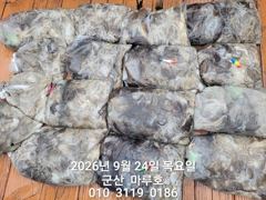 9월 24일 마루호 주꾸미 최종조항~☆ 사진