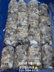 [군산] 군산킹스타호(9/24)쭈꾸미 마무리(내일 반일반(선비6) 출조~ 사진