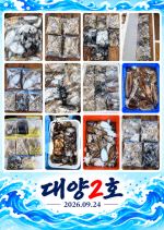 오이도 대양2호 조황사진(26.09.24) 사진