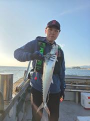 강릉 성훈호 260924목 동해바다 돼지고등어 삼치 회유어종 체험 배낚시 조황 (성훈호낚시TV) 사진
