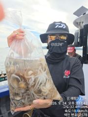 금일 쭈구미 조항입니다 사진
