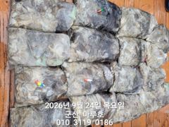 9월 24일 마루호 쭈깨미 최종조항~☆ 사진