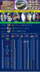 ♥붉바리들 이정도는 잡아봐야지요 대박 붉바리조황입니다[2026년09월24일] ※ 추석 명철 조사님들 잘보내시길 바랍니다 ◎ 해마루호가 뜨는이유? 조황때문이죠 ◎ 핵심포인트: 바로진입.. 바로히트.. ◎ 차원이 다른 조황으로 모십니다 ▣ 요즘 붉바리낚시가 대세입니다 사진
