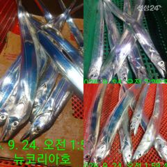 오늘도 출항합니다 먼바다로 신나게 추석연휴 즐겨볼까요~ 사진