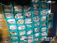 150수 사진