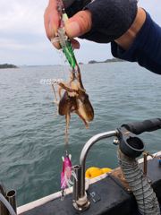 9월24일 뉴사아호 오후짬낚시 조황