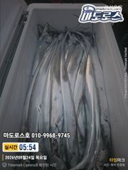 마도로스호 오늘 출항합니다 이벤트도확인하세요 사진