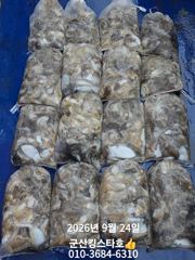 ★★ 9 / 24 [군산 대일피싱] 킹스타호 쭈꾸미 조황입니다. 추석당일 반나절 출조합니다. 사진