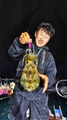 25일 팁런출항! 사진