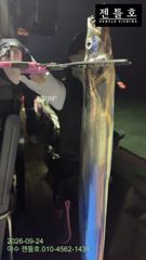 [여수,광양] [여수 젠틀호] #내만갈치 9.24 조황입니다. 사진