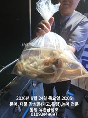 [통영] 통영 금정호 오후문어도 재미나게 잡아냅니다!! 내일 오전 자리여… 사진