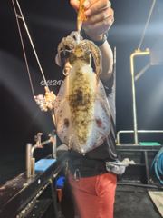 오늘도 무시 잘 뽑고 왔습니다. 사진
