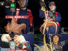 [진해] 24일 계속해서 쓸어담듯 200수이상 대~박치고 잡고온 굵직한 … 사진